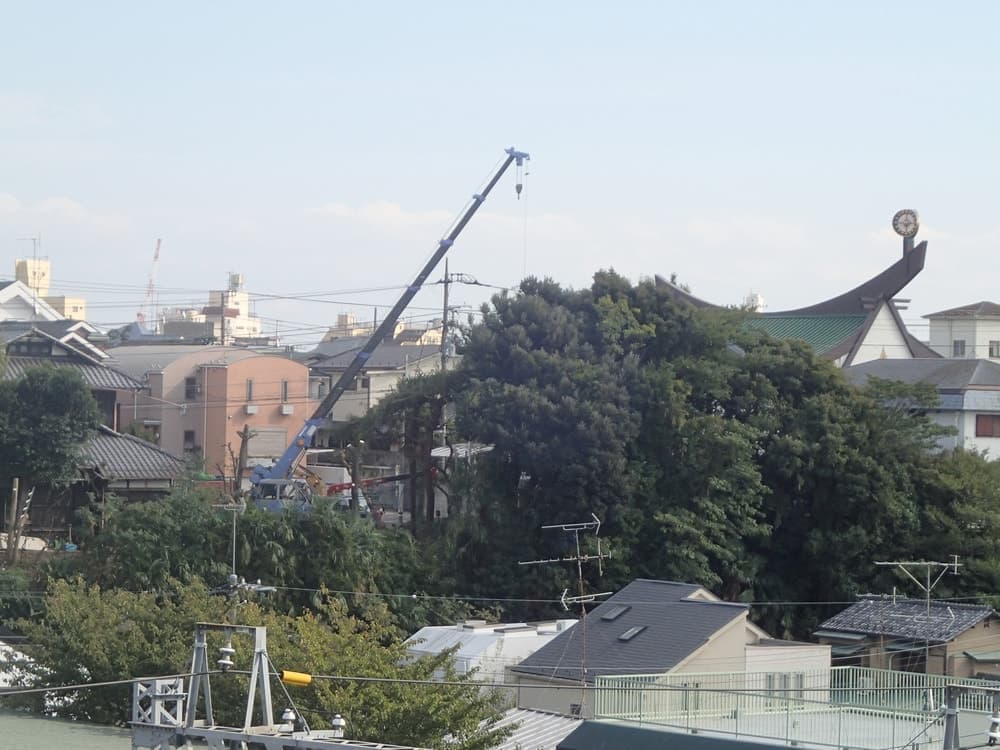 pa170077.jpg