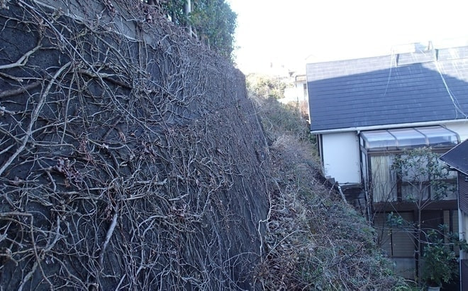p1160091.jpg