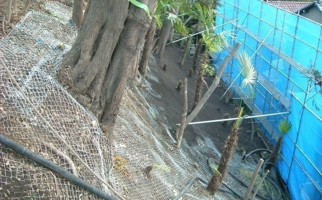 dscn3644.jpg