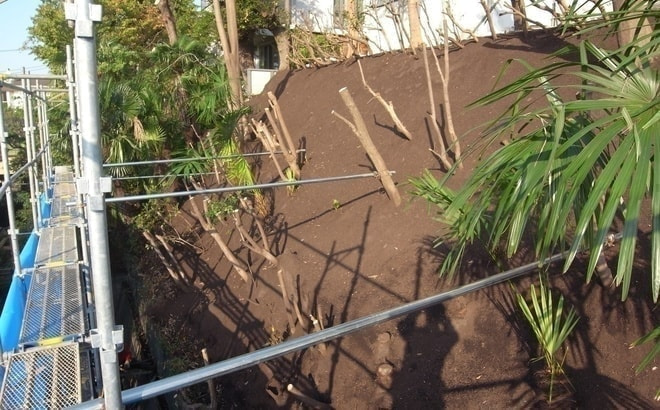 r0010955.jpg
