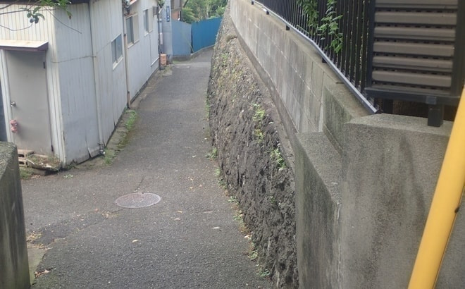 p8261513.jpg